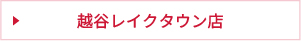 越谷レイクタウン店
